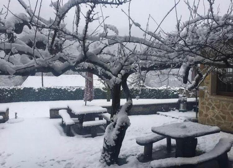 Hotel Restaurante La Carasca Orlé Εξωτερικό φωτογραφία